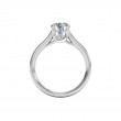 Ritani Micropave Diamond Semi Mounting