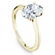 Noam Carver Semi Mount Engagement Ring