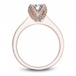 Noam Carver Semi Mount Engagement Ring