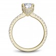 Noam Carver Semi Mount Engagement Ring