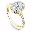 Noam Carver Semi Mount Engagement Ring