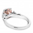 Noam Carver Semi Mount Engagement Ring
