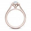 Noam Carver Semi Mount Engagement Ring