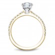 Noam Carver Semi Mount Engagement Ring