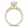 Noam Carver Semi Mount Engagement Ring