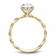 Noam Carver Semi Mount Engagement Ring