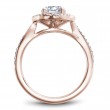 Noam Carver Semi Mount Engagement Ring