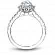 Noam Carver Semi Mount Engagement Ring