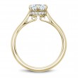 Noam Carver Semi Mount Engagement Ring