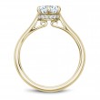 Noam Carver Semi Mount Engagement Ring