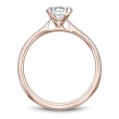 Noam Carver Semi Mount Engagement Ring