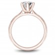Noam Carver Semi Mount Engagement Ring
