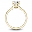 Noam Carver Semi Mount Engagement Ring