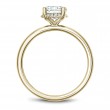 Noam Carver Semi Mount Engagement Ring