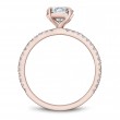 Noam Carver Semi Mount Engagement Ring