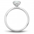 Noam Carver Semi Mount Engagement Ring