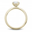 Noam Carver Semi Mount Engagement Ring