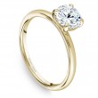 Noam Carver Semi Mount Engagement Ring