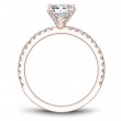Noam Carver Semi Mount Engagement Ring