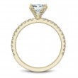 Noam Carver Semi Mount Engagement Ring