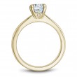 Noam Carver Semi Mount Engagement Ring