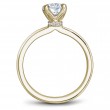 Noam Carver Semi Mount Engagement Ring