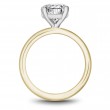 Noam Carver Semi Mount Engagement Ring