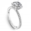 Platinum Semi-Mounting