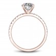 Noam Carver Semi Mount Engagement Ring
