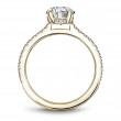 Noam Carver Semi Mount Engagement Ring