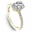 Noam Carver Semi Mount Engagement Ring