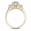 Noam Carver Semi Mount Engagement Ring