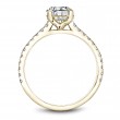 Noam Carver Semi Mount Engagement Ring