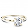 Noam Carver Semi Mount Engagement Ring