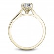 Noam Carver Semi Mount Engagement Ring