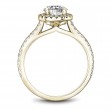 Noam Carver Semi Mount Engagement Ring