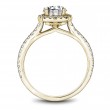 Noam Carver Semi Mount Engagement Ring