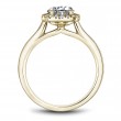 Noam Carver Semi Mount Engagement Ring