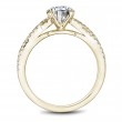 Noam Carver Semi Mount Engagement Ring