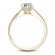 Noam Carver Semi Mount Engagement Ring