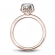 Noam Carver Semi Mount Engagement Ring