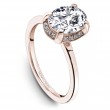 Noam Carver Semi Mount Engagement Ring