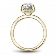 Noam Carver Semi Mount Engagement Ring