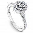 Noam Carver Semi Mount Engagement Ring