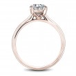 Noam Carver Semi Mount Engagement Ring