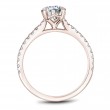 Noam Carver Semi Mount Engagement Ring
