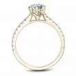 Noam Carver Semi Mount Engagement Ring