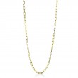 CN134 Chain