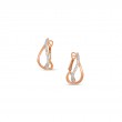 Diamonds Earrings