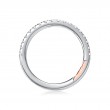 Platinum And Diamond Band